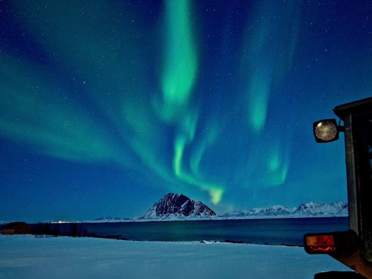 Elstad Farm Lofoten Bostad Kültér fotó