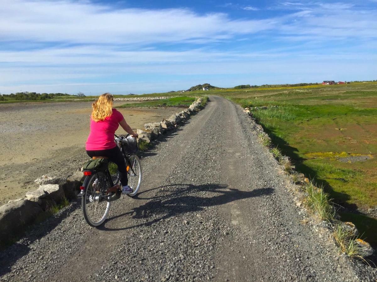 Elstad Farm Lofoten Bostad Kültér fotó
